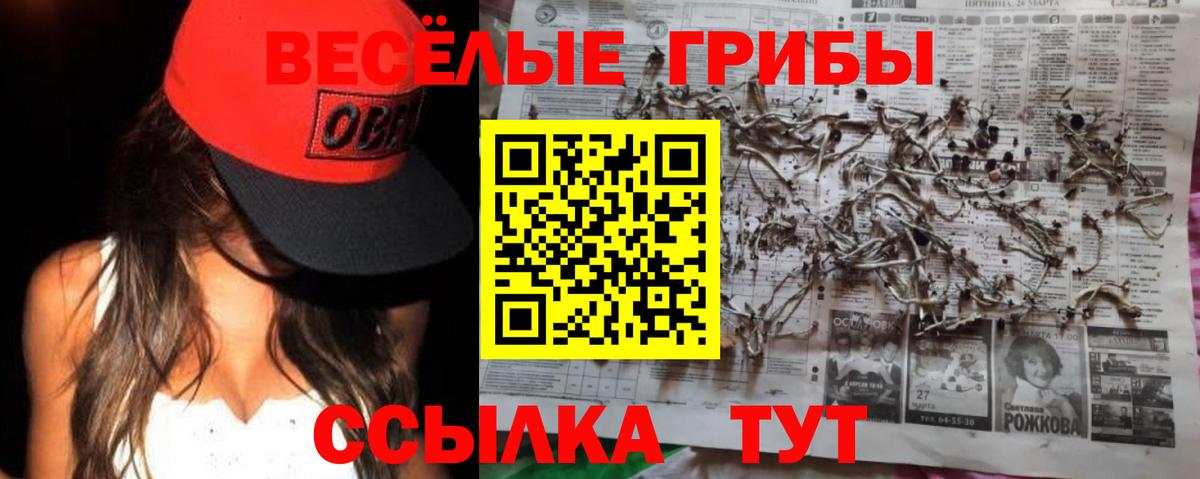 Галлюциногенные грибы Psilocybine cubensis Нальчик